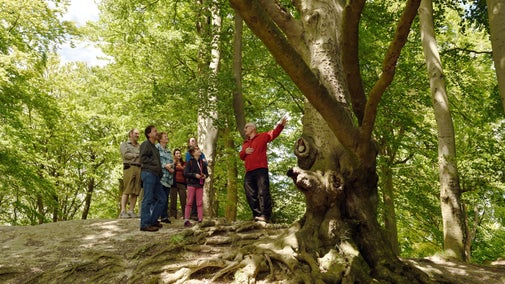 Visitors on a guided nature walk with a volunteer ranger.